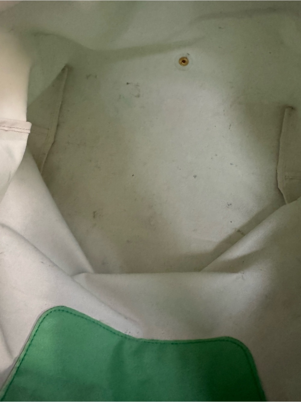 Longchamp Green Tote with Pink Lettering and Brown Trim - Picture 10 of 14